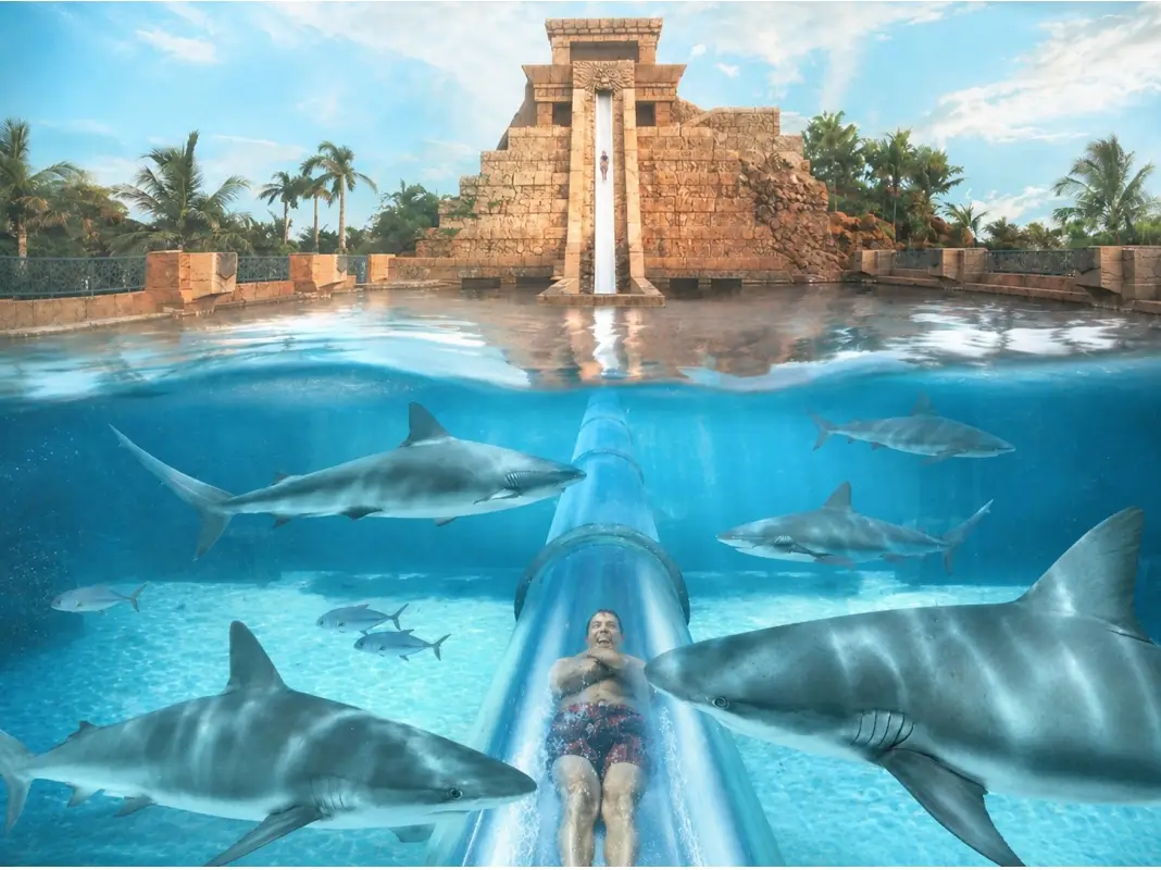 Located at Atlantis Paradise Island, the Leap of Faith is an iconic speed slide located in Aquaventure Water Park.