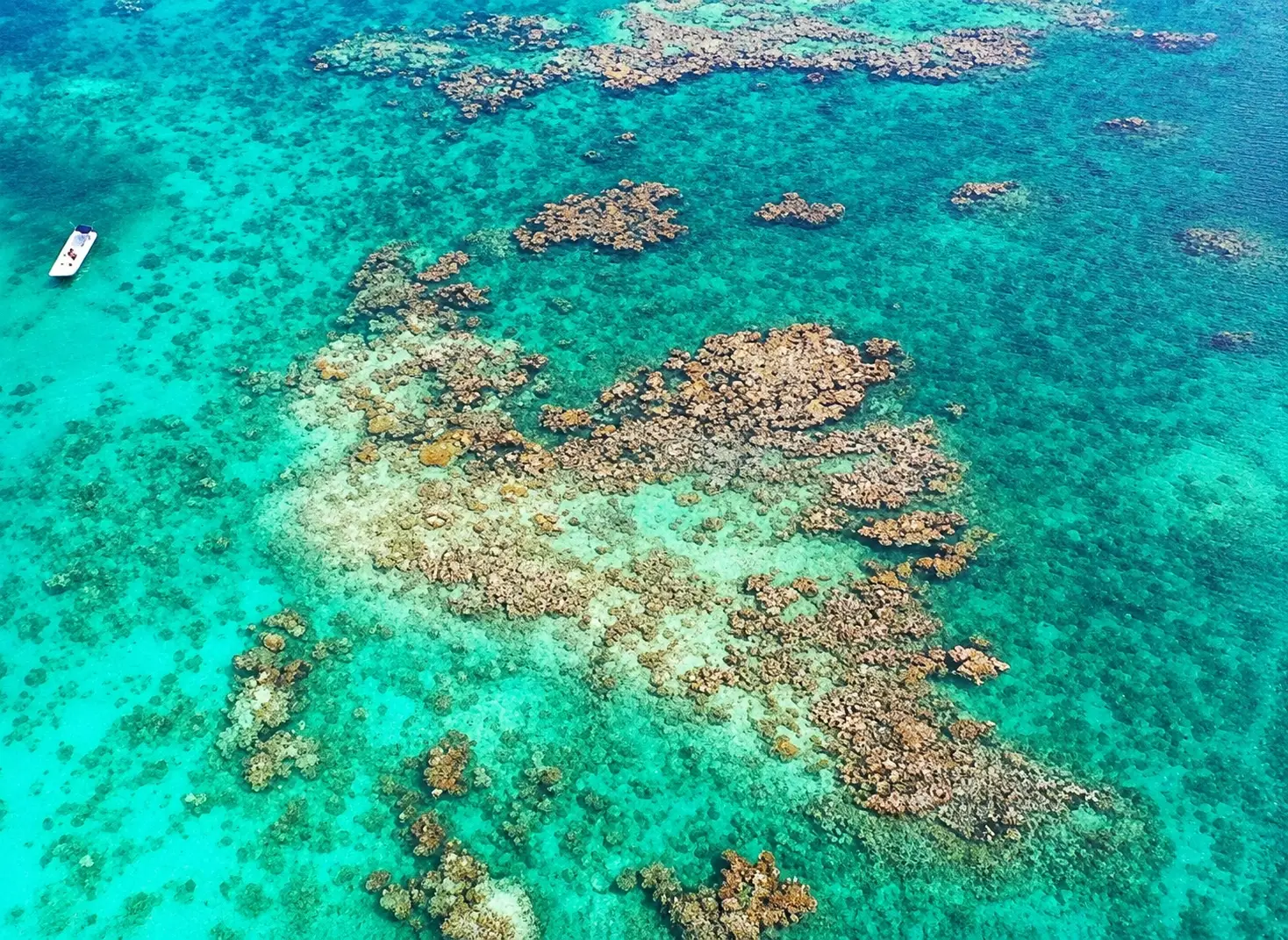 Aerial view of the turquoise waters and coral formations of the Andros Barrier Reef in the Bahamas.