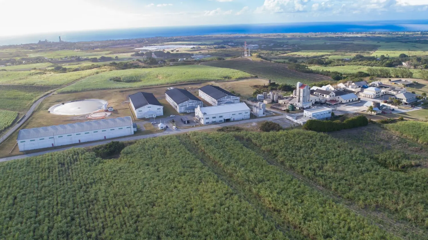 Aerial view of Mount Gay Rum Distillery and green sugarcane fields in St. Lucy, Barbados, the world's oldest running rum distillery.
