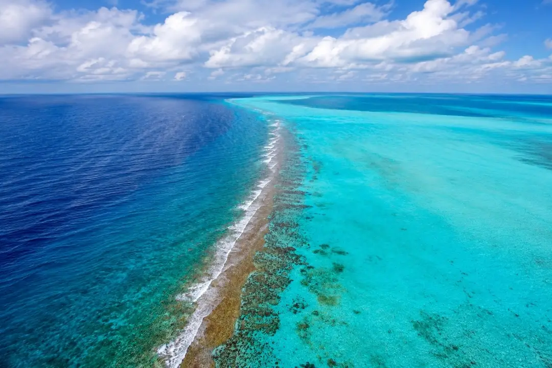 erial view of the Belize Barrier Reef showing deep blue ocean water meeting shallow turquoise lagoon water along a coral reef line under a cloudy sky.