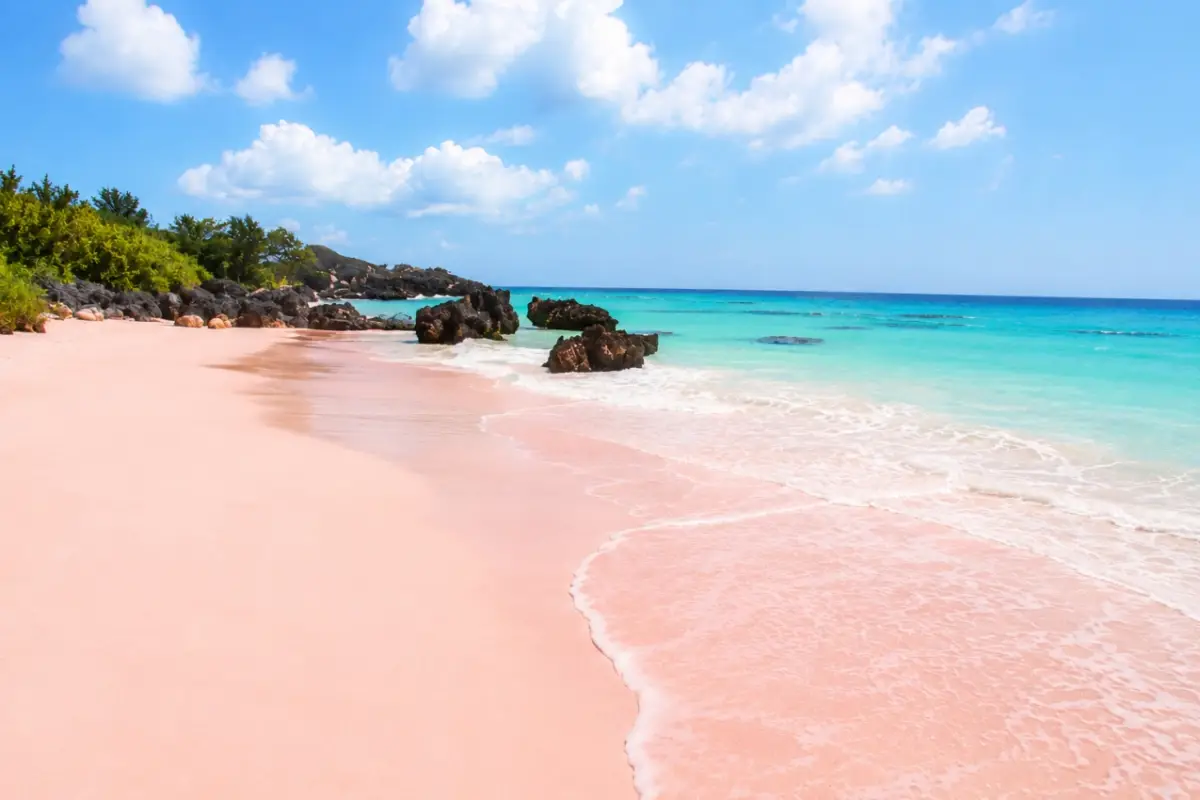 Horseshoe Bay Beach in Bermuda, known for its natural pink sand caused by crushed coral and tiny marine organisms.