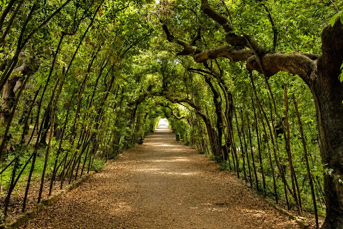 Behind the grand Pitti Palace on the south side of the Arno River, the Boboli Gardens offer one of Florence’s most beautiful and peaceful escapes.