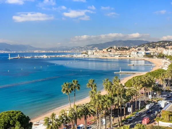 Panoramic view of Cannes coastline, sandy beach, and palm tree lined Boulevard de la Croisette in the French Riviera.