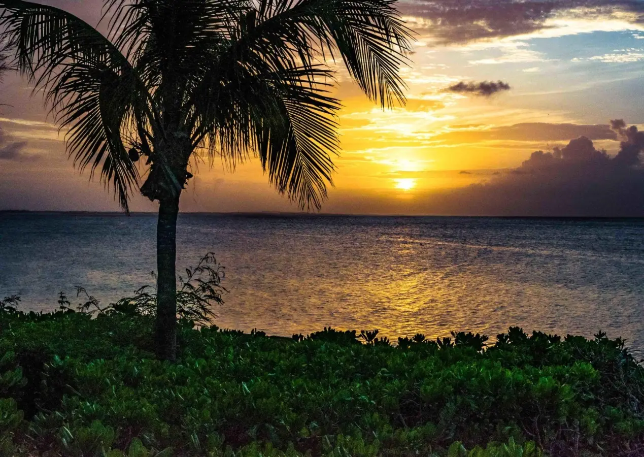 Sunset over Grace Bay beach in Turks and Caicos with a silhouette of a palm tree and the ocean.