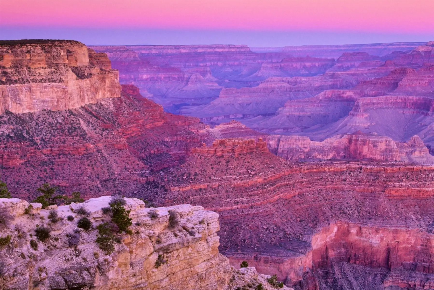 A vibrant sunrise with Cotton Candy Skies over the Grand Canyon National Park in Arizona.