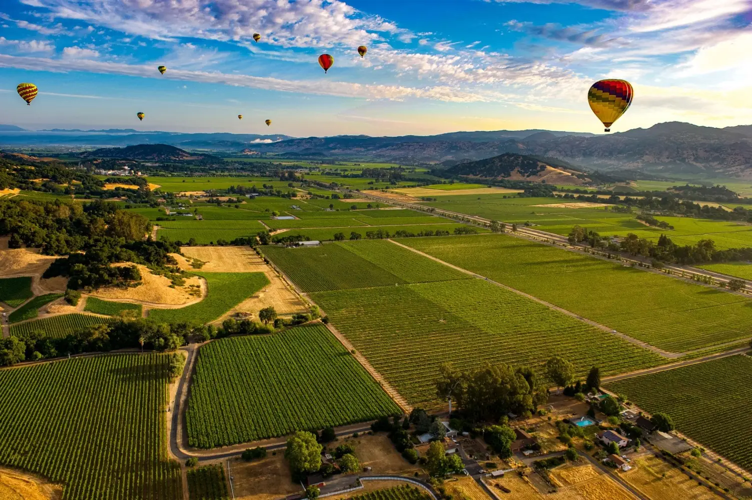 Napa Valley and Sonoma are neighboring, world-class wine regions separated by the Mayacamas Mountains.