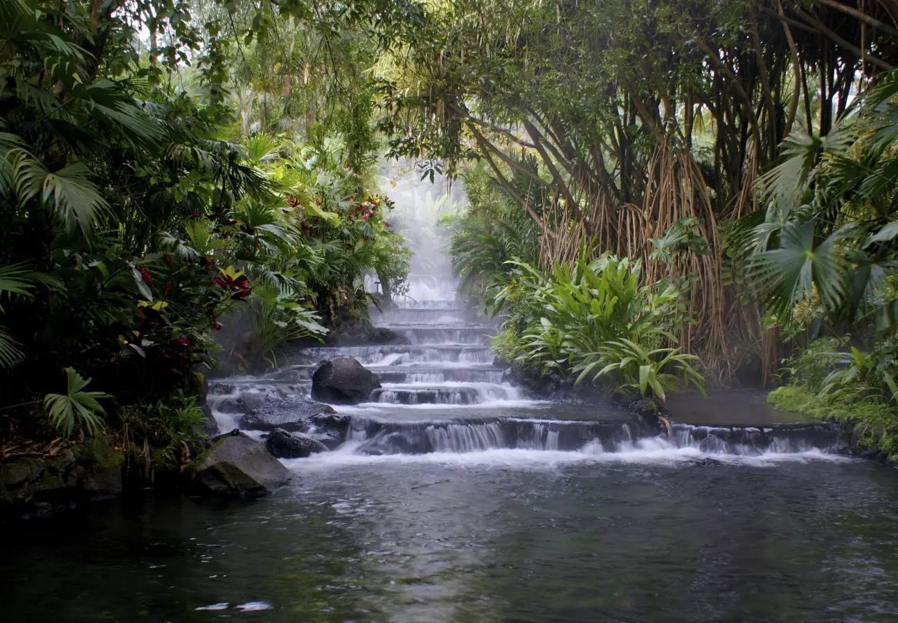 Steaming thermal hot springs cascading down stone steps surrounded by lush tropical rainforest at Tabacon in Costa Rica.