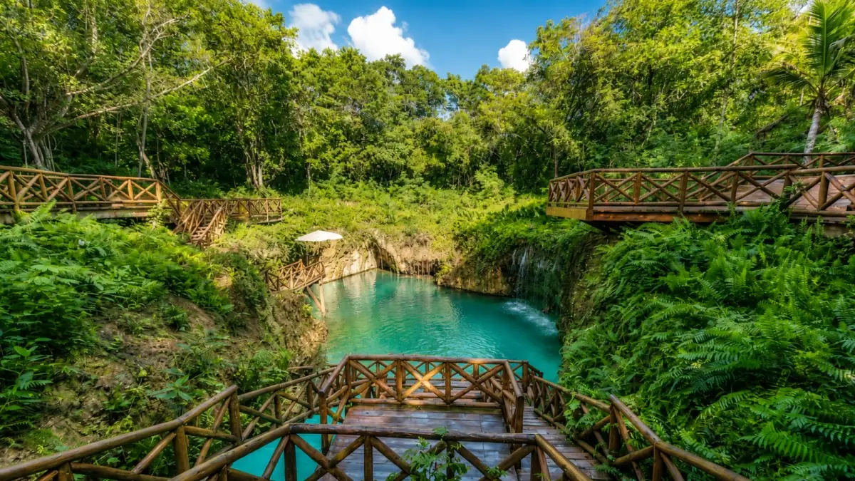 A scenic view of a natural blue cenote pool with wooden viewing platforms and thick green ferns.