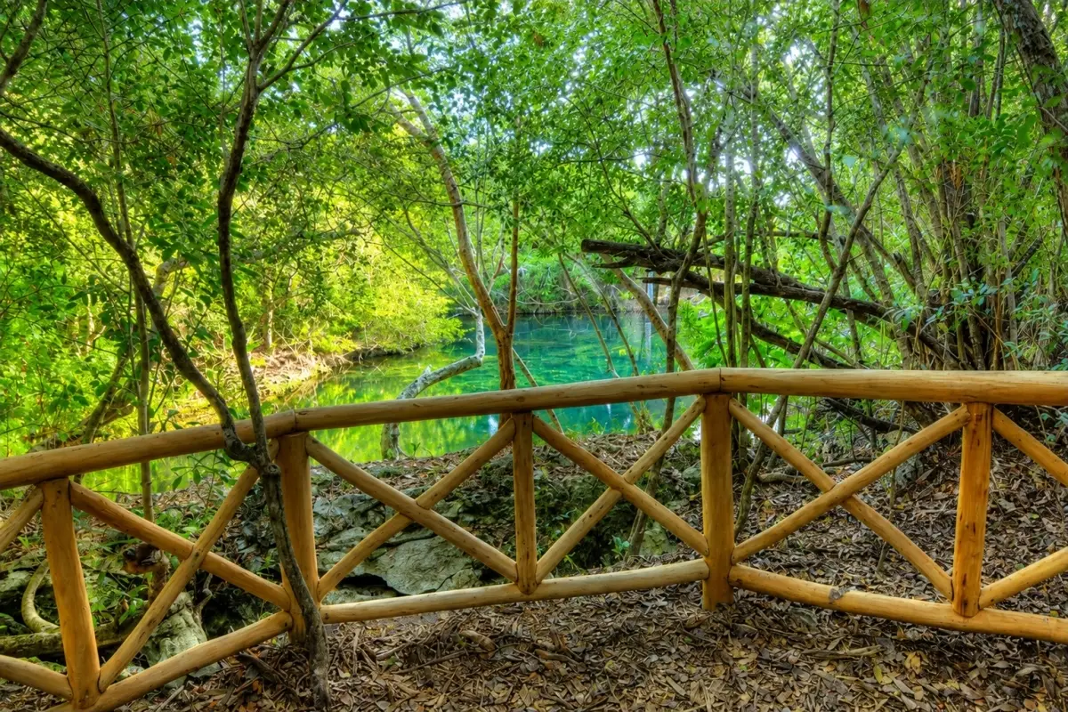 Wooden railing overlooking a clear turquoise freshwater lagoon surrounded by lush green tropical trees at Indigenous Eyes Ecological Reserve in Punta Cana.