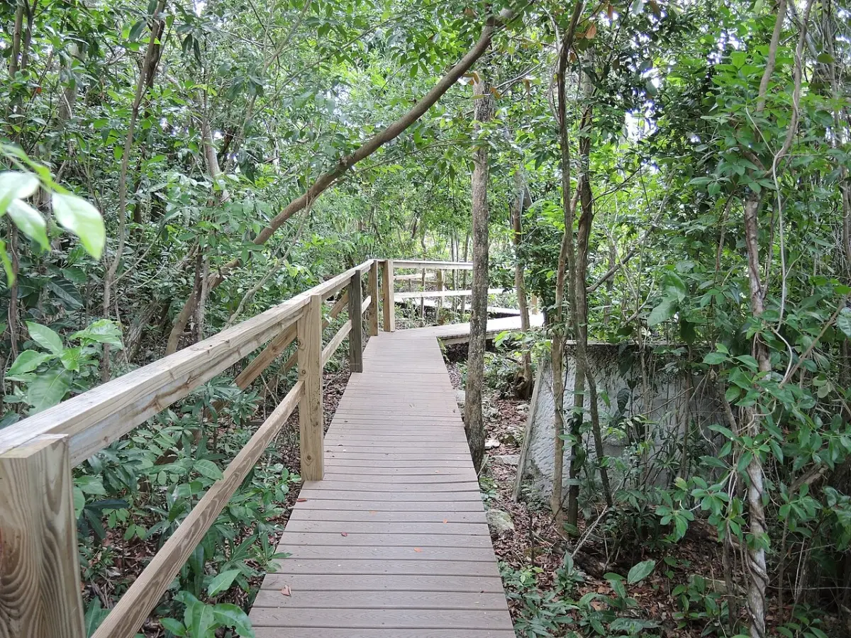 Lucayan National Park, located on Grand Bahama Island, park offers travelers a chance to explore a side of the Bahamas that goes far beyond luxury resorts and busy beaches.