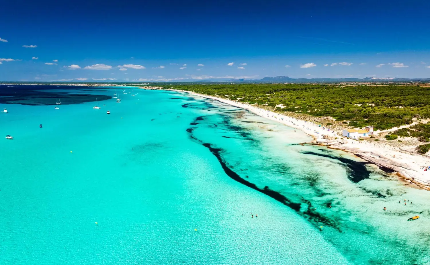 Es Trenc Beach in Mallorca, Spain featuring shallow, crystal-clear turquoise waters and pristine white sand dunes.