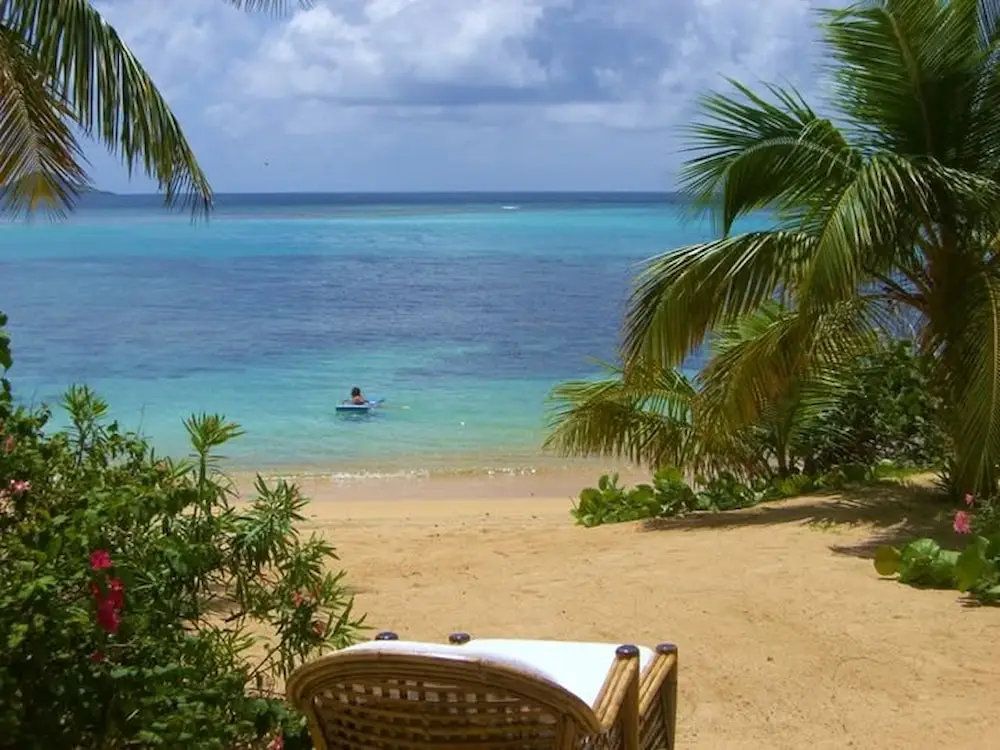 Tropical beach view of Mango Bay in Barbados with blue ocean, sandy shore, and palm trees.