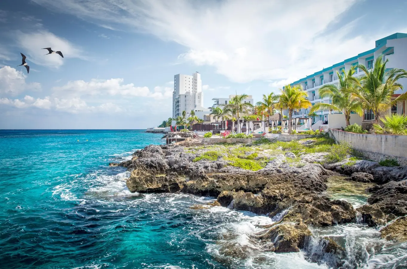 Rocky Cozumel coastline with turquoise ocean water, palm trees, and oceanfront resorts under a bright sky in Quintana Roo, Mexico.