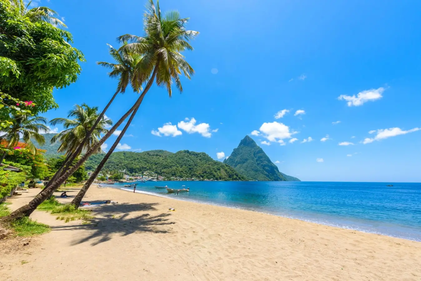 Hummingbird Beach in Soufriere Saint Lucia with leaning palm trees and a view of Petit Piton mountain over the turquoise ocean in Saint Lucia, Tropical Caribbean Island.