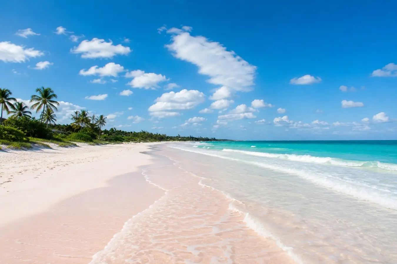 Take a walk on Pink Sands Beach on Harbour Island, Bahamas, featuring pink shoreline, turquoise ocean water, and palm trees under a blue sky.SEO