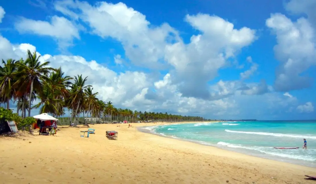 Scenic coastline of Macao Beach in Punta Cana with white sand, rolling turquoise waves, tropical palm trees, and clear blue skies.