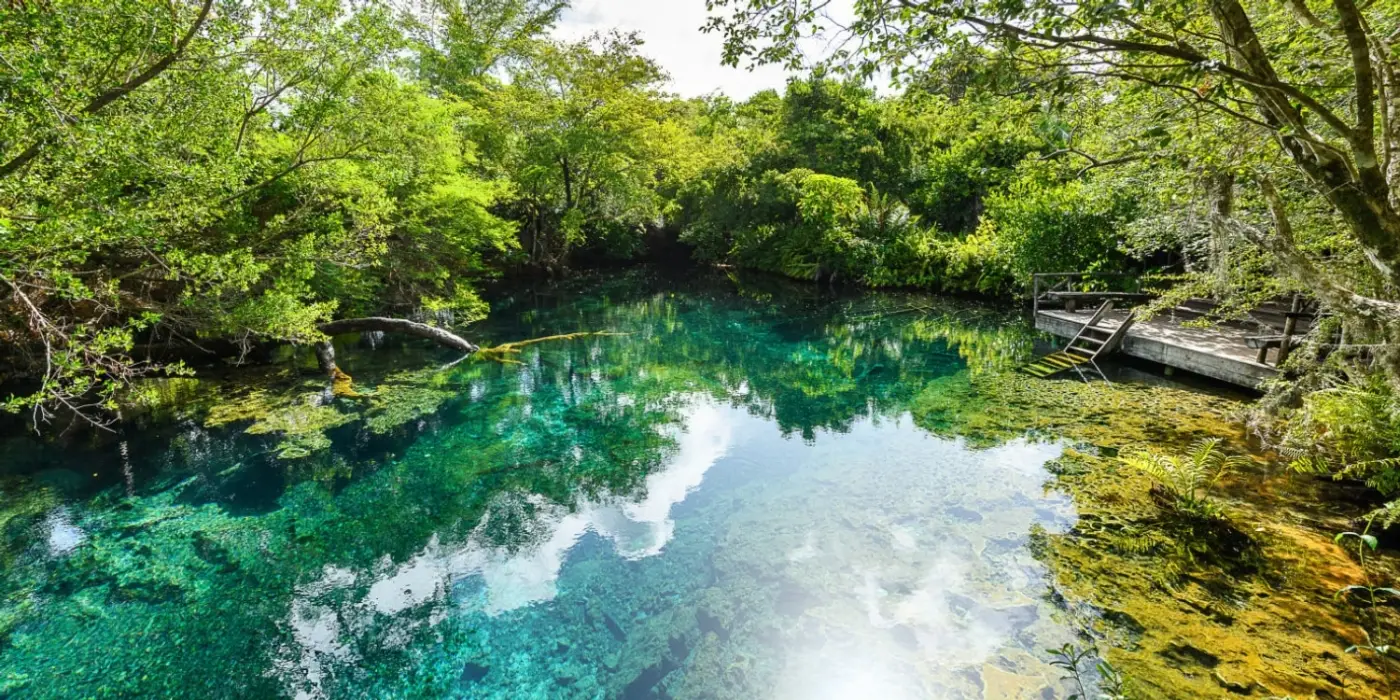 Indigenous Eyes Ecological Reserve located in Punta Cana, Dominican Republic is a 1500 acre private reserve featuring 12 freshwater lagoons, nature trails, wildlife encounters and a petting zoo.