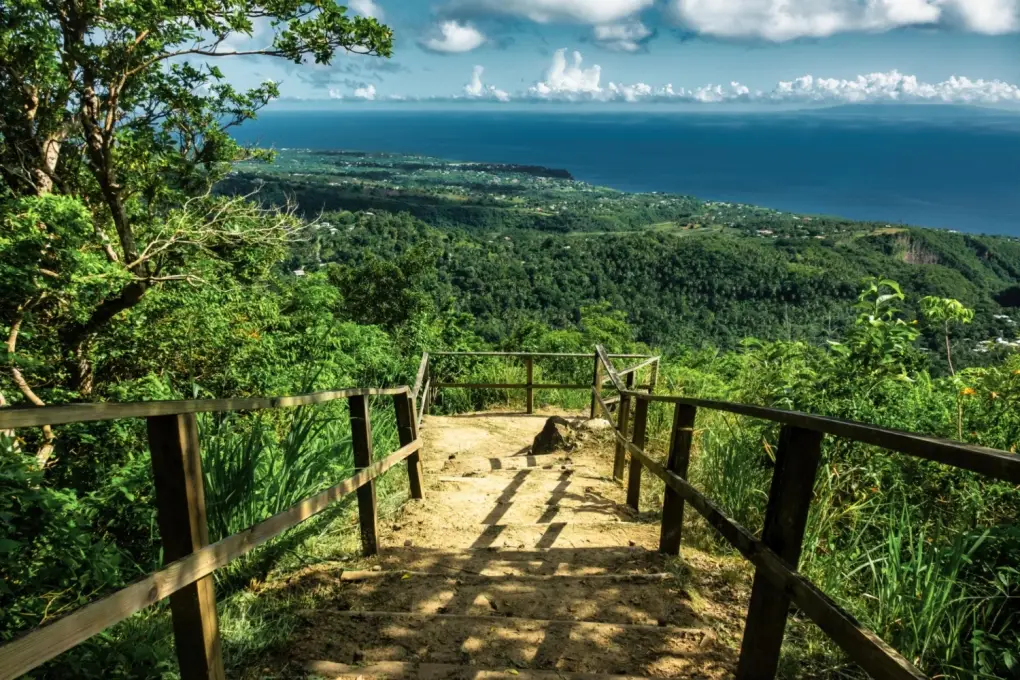 Wooden steps of the Stairway to Heaven look down at green tropical hills and the blue ocean on the Tet Paul Nature Trail in St. Lucia.