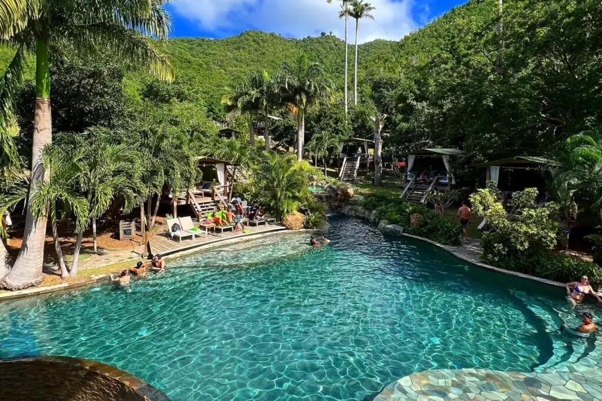A luxury tropical jungle swimming pool surrounded by palm trees and lush green hills at Loterie Farm in St. Martin.