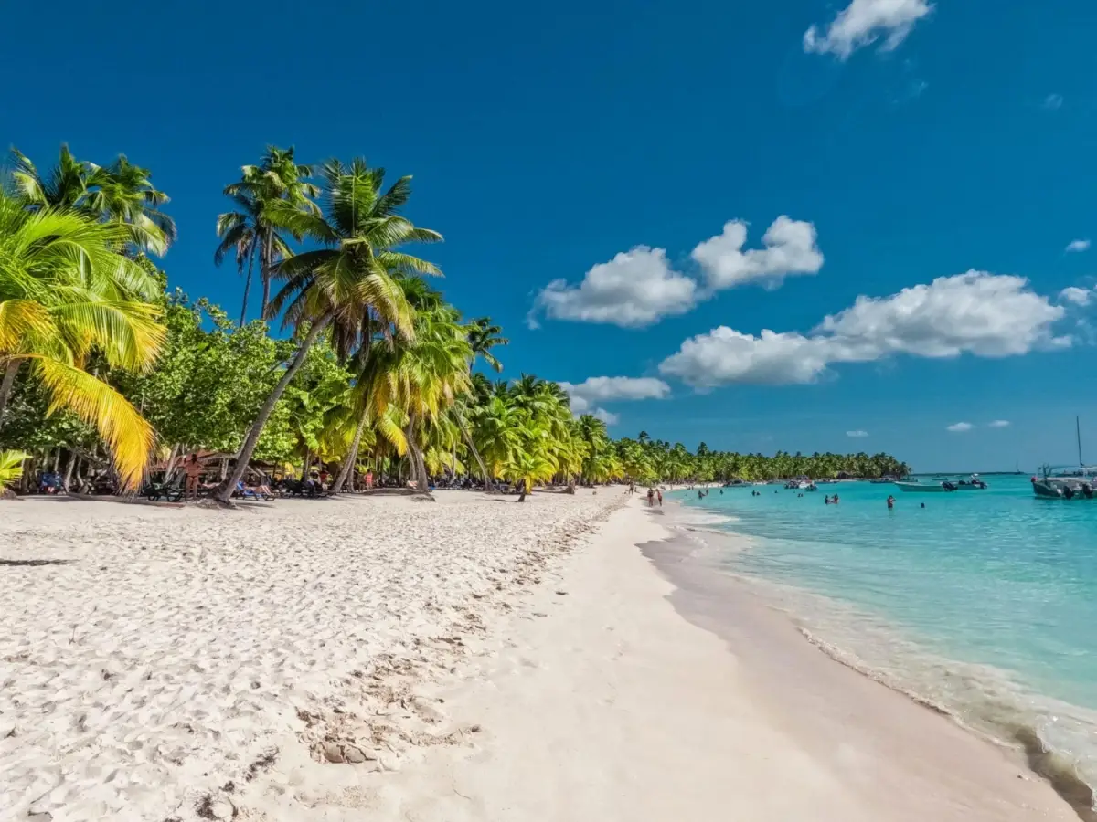 Pristine white sand beach with turquoise water and palm trees on Saona Island, Dominican Republic.