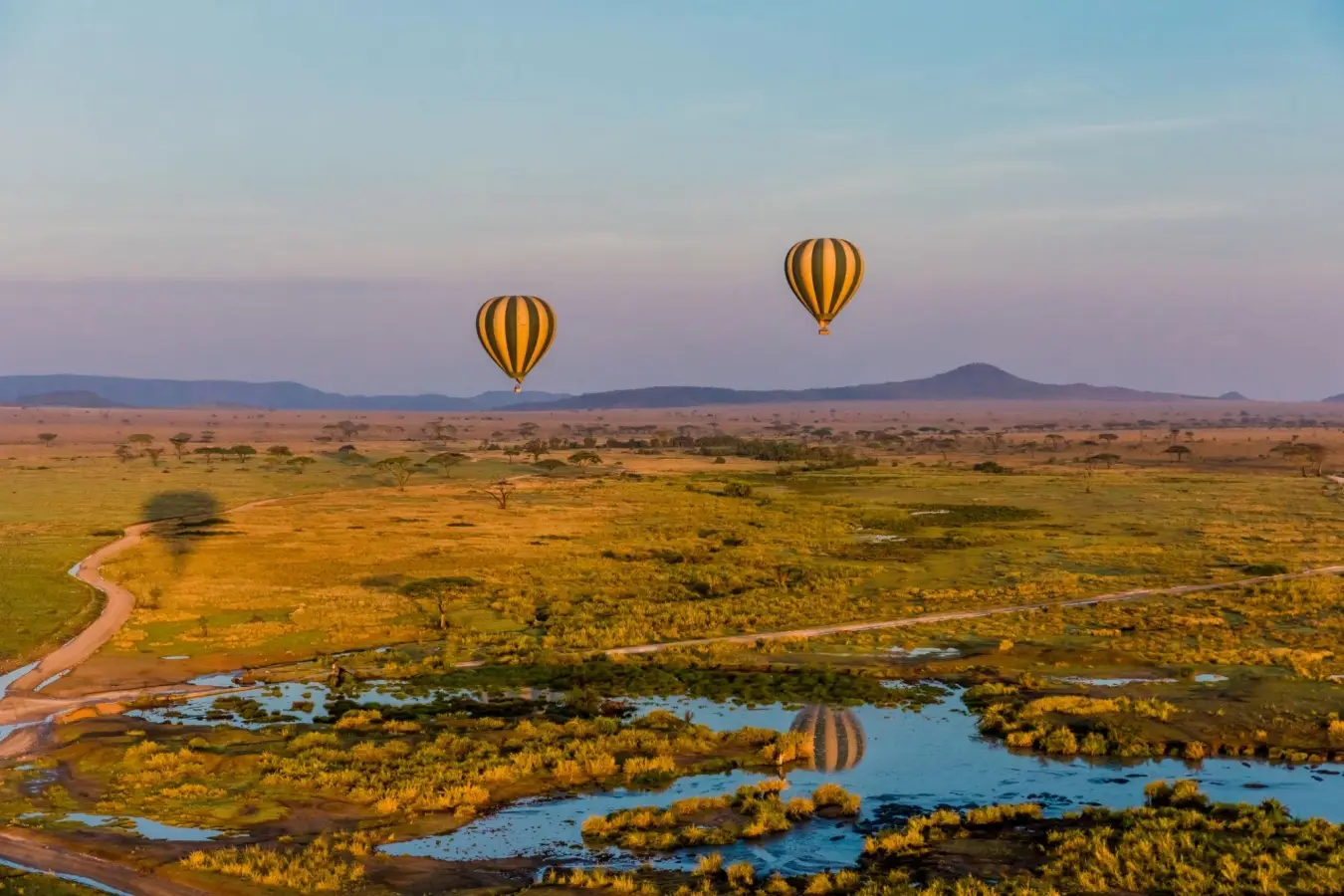 Hot air balloons floating above Serengeti National Park in Tanzania.