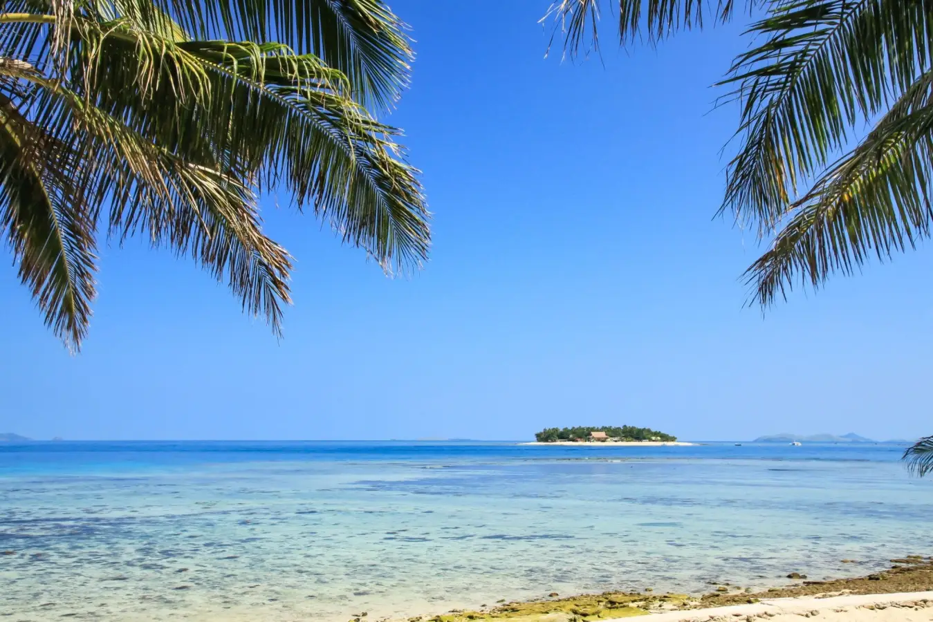 Small private tropical resort island in Fiji surrounded by clear turquoise ocean water framed by green palm trees in the Mamanuca Islands.