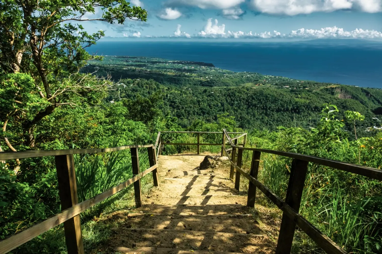 Stairway to heaven wooden steps looking down at lush green hills and blue ocean on the Tet Paul Nature Trail in Saint Lucia.