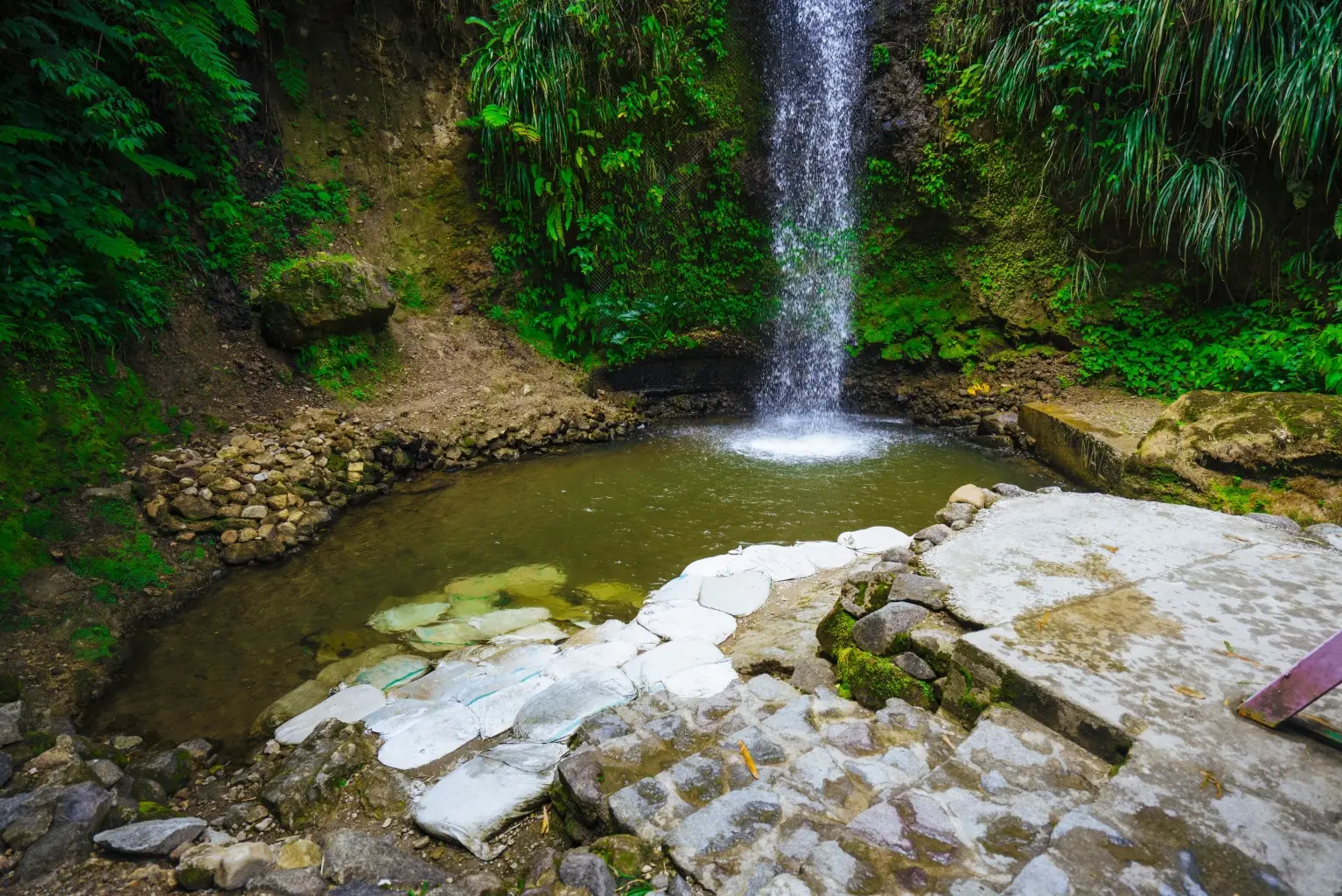 Lush tropical rainforest surrounding Toraille Waterfall in St. Lucia with water cascading into a natural plunge pool.