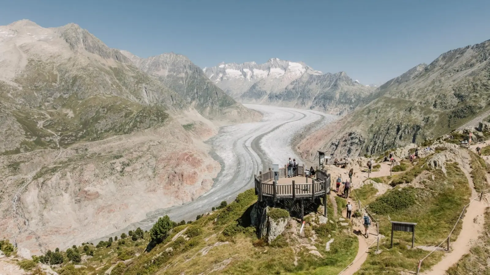 Aletsch Glacier panoramic view from Moosfluh viewpoint with hikers walking down an alpine trail in Switzerland.