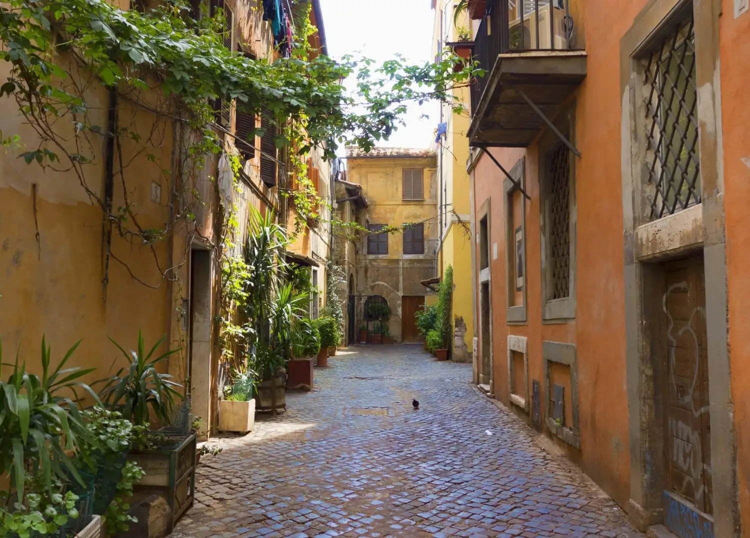 A charming, cobblestoned alleyway lined with ivy-clad buildings in the historic Trastevere neighborhood of Rome.