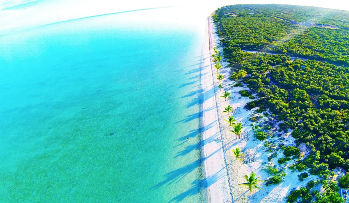 High-angle shot of Long Bay Beach in Turks and Caicos with clear blue sea water and tropical vegetation running along the shore.