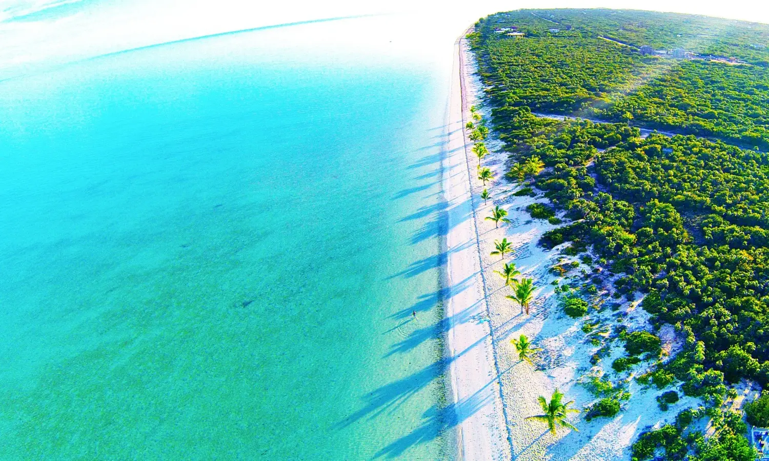 Aerial drone view of Long Bay Beach in Turks and Caicos showing turquoise ocean waters and a white sand coastline lined with lush green trees.